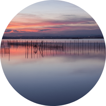 Albufera